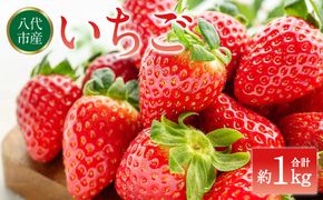 いちご 約1kg（約250g×4パック） イチゴ 苺 果物 フルーツ 旬 いちごジャム いちごスムージー