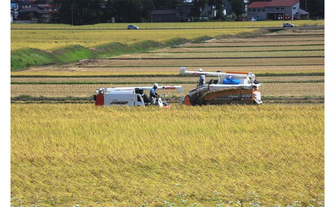 令和８年産米　先行予約【無洗米】　魚沼産川西こしひかり１kg×３個　＜令和8年10月下旬～発送予定＞