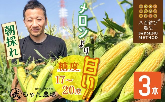 【2026年発送】【お試し】朝採り直送 メロンより甘い 生とうもろこし“にっこりコーン” 3本 H095-028