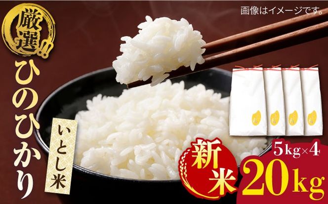 yszyߘa7NYVāzƂ IЂ̂Ђ20kg(Y)@y2025N11ȍ~zs / OX[AIM077]     Ђ̂Ђ qmqJ B 