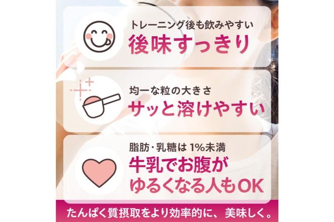 【定期便】DAILY BASIC+ WPI チョコレート（3か月連続お届け）【0105-009】