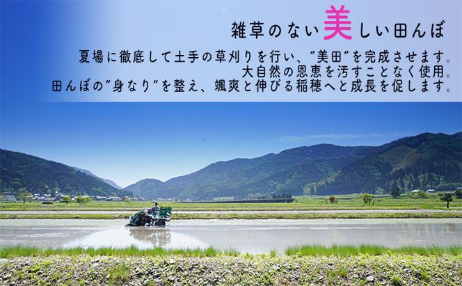【3ヶ月連続】令和8年産福井県若狭町コシヒカリ（一等米）10kg（山心ファーム） お米 福井県産 甘い