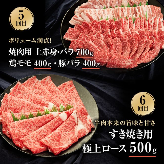伊賀牛 6ヶ月連続お届け 定期便 A [ 伊賀牛牛トロ刺し すき焼きセット 伊賀牛ステーキセット 伊賀牛切り落とし 焼肉セット5人盛り ] オクダ 牛肉 高級 和牛 肉 伊賀牛肉  伊賀 人気 自宅用 グルメ お取り寄せ 誕生日 お祝い  贅沢 三重