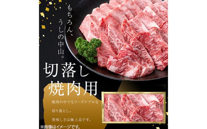 ＜A4・A5等級＞鹿児島県産黒毛和牛 うしの中山 切り落とし焼肉用 計1kg(500g×2P) c4-015
