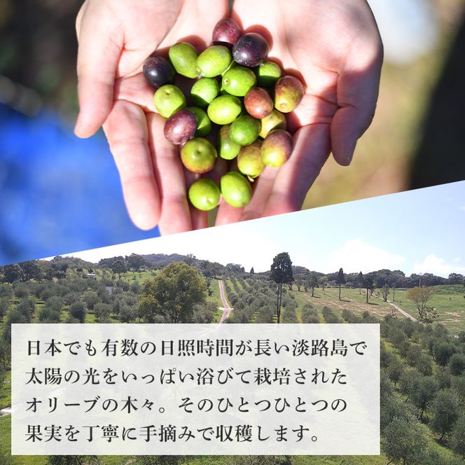 30本セット！「Virgin Valley 淡路阿利布」182ｇ（エキストラバージンオリーブオイル）【2025年度産】