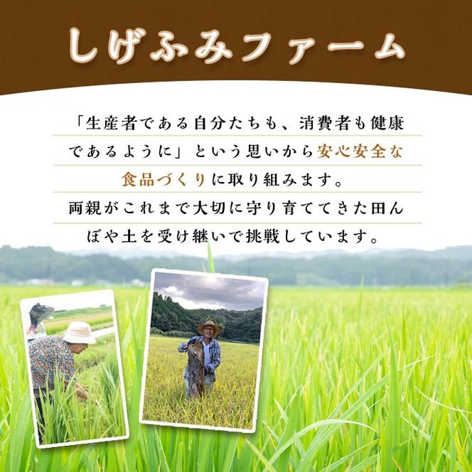 isa664 《毎月数量限定》あんしん玄米(約1kg×3袋・計約3kg) 米 玄米 お米 鹿児島県 伊佐市 健康 食物繊維 腸活 有機肥料 EM農法 【しげふみファーム】