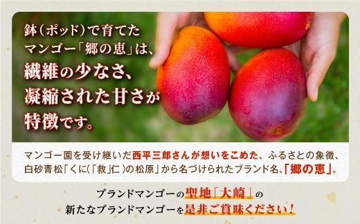 【訳あり】 1.5kg 大崎完熟マンゴー「郷の恵（さとのめぐみ）」加工用マンゴー（糖度10度前後） 464686_BD008