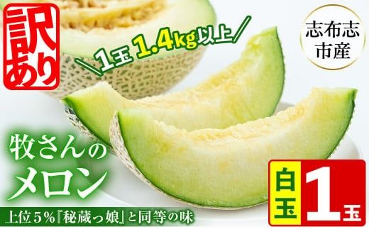[冬限定・数量限定]牧さんの訳ありメロン 白玉(青肉)1玉 a1-058-w