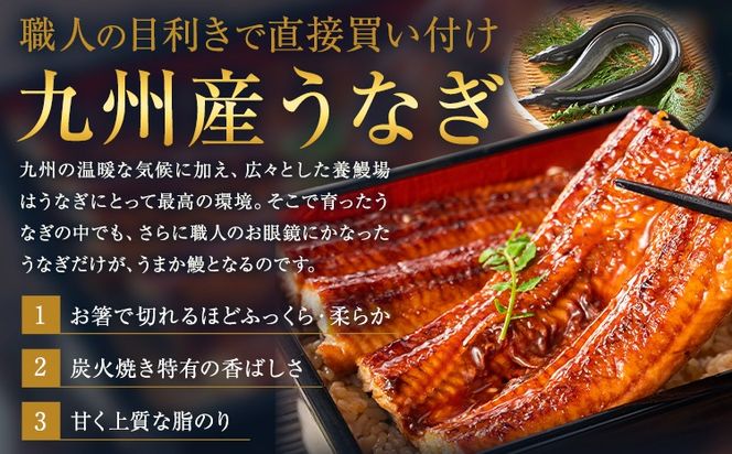 うなぎ ご家庭用 国産 ランキング 獲得 鰻 真空パック おすすめ うなぎの蒲焼 【贈答箱入り】《3-7日以内に出荷予定(土日祝除く)》 有頭 ふるさとのうぜい 鶏炭火焼 1尾 2尾 3尾 4尾 訳あり 定期便 簡易包装 不揃い 規格外 ウナギ unagi 蒲焼 秋 冬 旬 配送時期 冷凍---mifune_lcl_1451_1b---