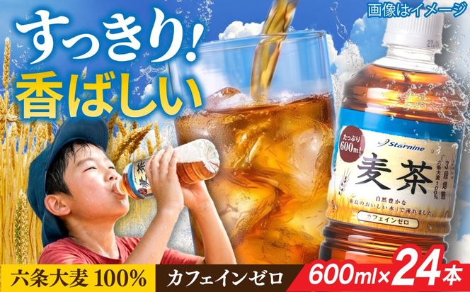 麦茶 600ml × 24本 糸島市 / スターナイン お茶 ペットボトル [ARM005] お茶 ペットボトル 500ml 24本 麦茶 国産 ノンカフェイン 常温