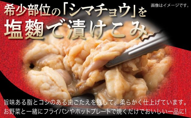 099H4210 牛シマチョウ 焼肉用 塩麹漬け 500g【味付け 小分け 250g×2P 焼くだけ 簡単調理 BBQ 牛肉 ホルモン お試し 普段使い】