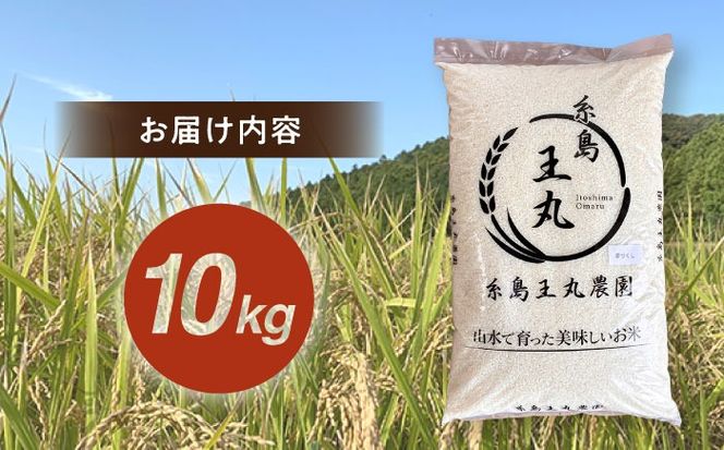 【令和7年産】糸島産 夢つくし 10kg 糸島市 / 糸島王丸農園 ( 谷口汰一 ) /いとしまごころ[AAZ005]