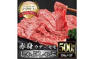 宮崎牛 赤身カット しゃぶしゃぶ (計500g・250g×2) しゃぶしゃぶ お肉 牛肉 黒毛和牛 宮崎牛 ブランド和牛 冷凍 国産 モモ ウデ 宮崎県産【YM-22】【YAMATO株式会社】