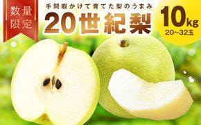 【先行予約／数量限定30】廿世紀梨 10kg（2026年9月上旬～発送） FK00029