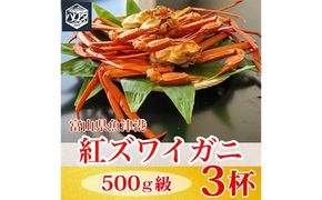 【冷蔵】自社漁船直送！魚卸問屋の紅ズワイガニ 500g級×3ハイセット ※2026年9月～発送