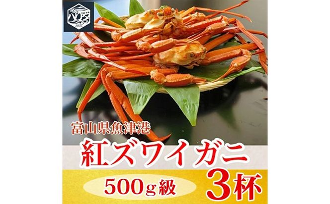 【冷蔵】自社漁船直送！魚卸問屋の紅ズワイガニ 500g級×3ハイセット ※2026年9月～発送