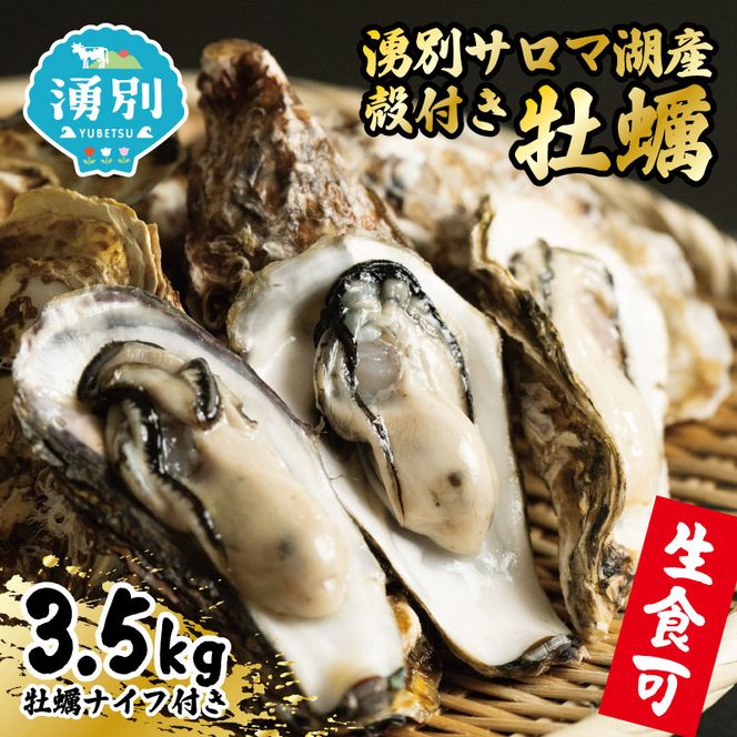 カキ 先行予約 北海道 オホーツク 湧別 サロマ湖産 殻付き 牡蠣 生食可 3.5kg 海鮮 魚介 国産 貝付き 生牡蠣 生食 焼き牡蠣 蒸し牡蠣 冷蔵 産地直送 