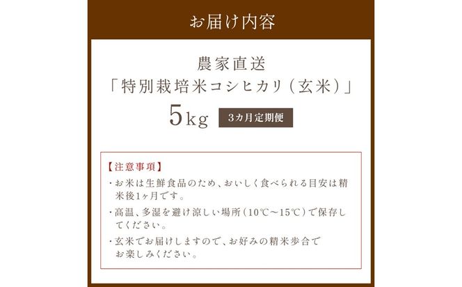 【3ヶ月定期便】2026年産 京都・京丹後峰山 特別栽培米コシヒカリ 5kg 【玄米】 1等米 検査済証付　ふるさと納税 米 玄米 定期便 京都 コシヒカリ 特別栽培 ふるさと納税 玄米 定期便　MF00087