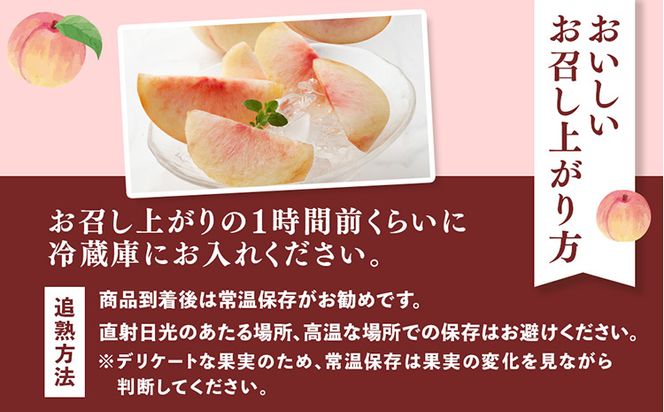 桃先行受付!　桃の王様【白鳳】　特秀品　食べきりやすい3個入り