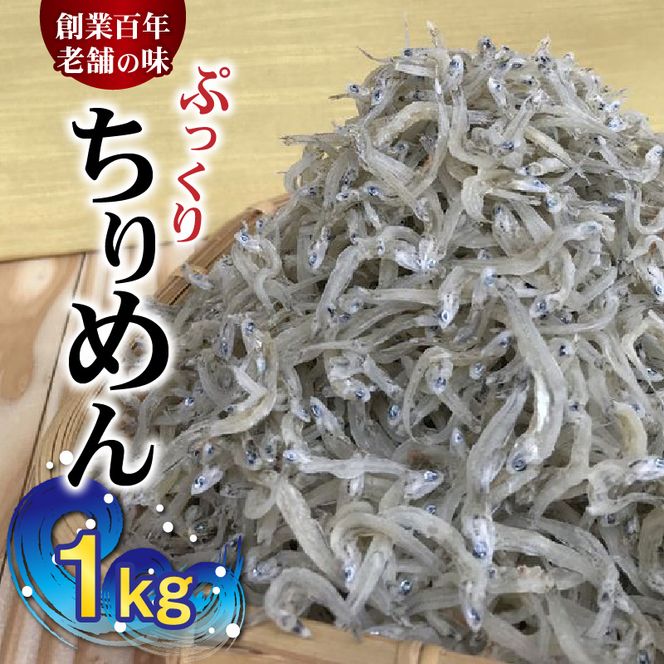 H6015n_ぷっくり ちりめん 1kg