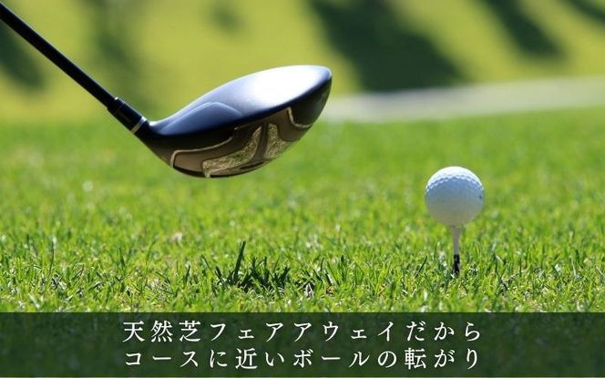 ピアゴルフガーデン　練習場利用券12000円分 piag0001-3