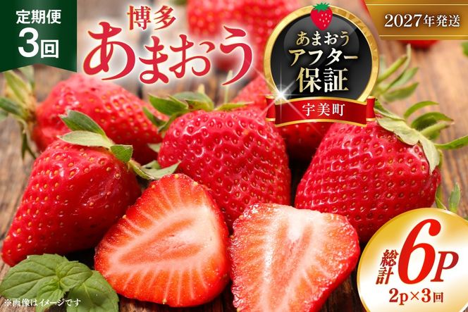 いちご あまおう 定期便 2p 3回 総計6P【2027年発送】 期間限定発送 [THE FARM_strawberry 福岡県 宇美町 um40azo780012] 先行予約 イチゴ 苺 フルーツ 果物 果実 甘い 小分け 定期 あまい