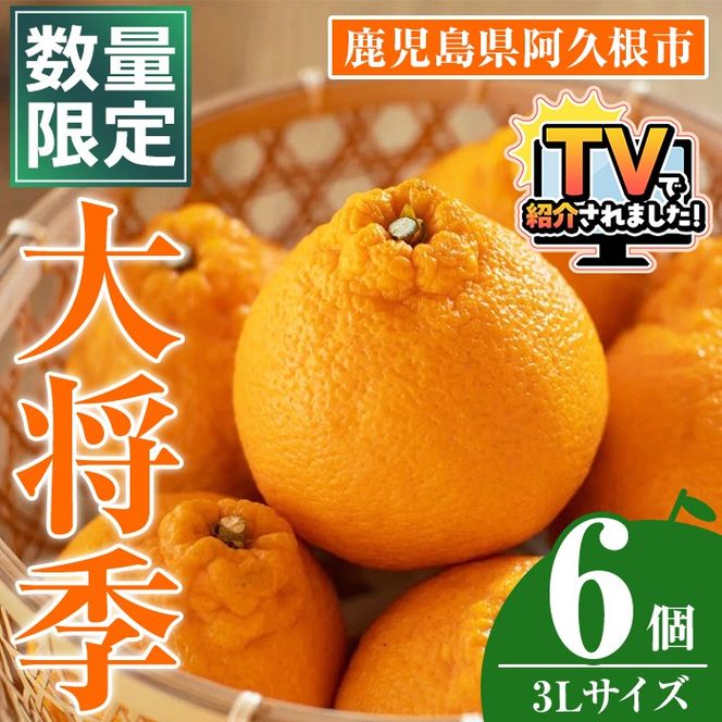 数量限定！大将季 (6個・3Lサイズ) 柑橘 フルーツ 果物 国産 みかん 期間限定 不知火 しらぬい シラヌイ ミカン 【株式会社イロドリ】akn069-07