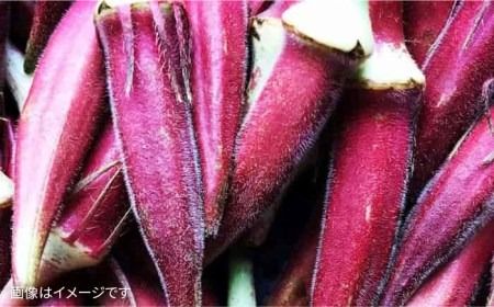 【 栽培期間中農薬 ・ 化学肥料 不使用 】こだわり 高級 野菜 セット《糸島》【オーガニックナガミツファーム】[AGE014] 野菜セット 野菜 やさい サラダ 詰め合わせ トマト とまと 野菜野菜セット 野菜やさい 野菜サラダ 野菜詰め合わせ 野菜トマト 野菜とまと 野菜ベビーリーフ 野菜水菜 野菜ハーブ 野菜オクラ 野菜人参 野菜にんじん 野菜ニンジン 野菜ほうれん草 野菜クレソン 野菜かぼちゃ 野菜カボチャ 野菜じゃがいも 野菜玉ねぎ