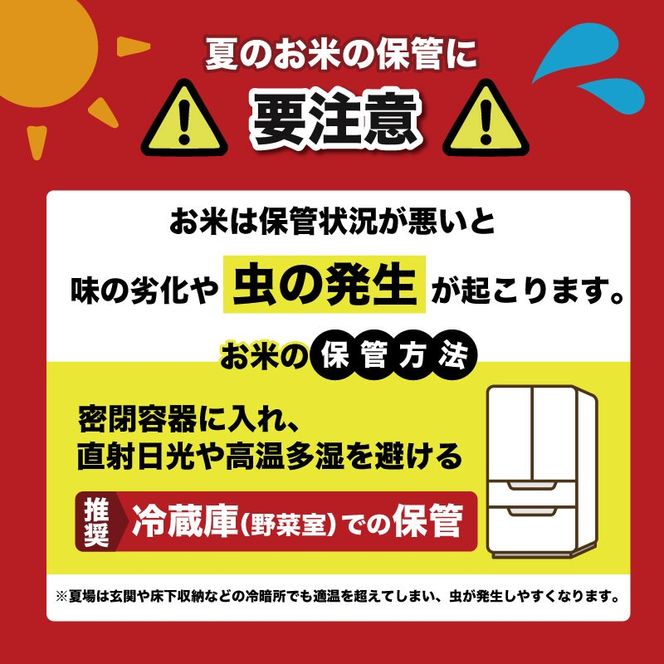 【先行受付】 玄米 令和8年産 こしひかり 選べる 5kg 10kg 安芸産 定期便 6回 4回 3回 1回 お米 精米 新米 ごはん ご飯 高知県産 弁当 おにぎり 料理 新嘗祭皇室献上米 令和8年  健康志向 もちもち食感 美味しい 農家直送 先行予約 おにぎり 高級米 ブランド米 冷めても美味しい 炊き立て 食べ比べ 人気 おすすめ 贈答用 ギフト お米の定期便人気 安芸市 高知県