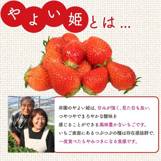 yÉ}sz 悢P 1.2kg 300g×4pbN  n  Yn  tbV C`S  t[c ʕ Y É É }s ӂ邳ƐlC lC ӂ邳Ɣ[ł ӂ邳Ƃ furusato ߂  y s\ : 2026N4\ 