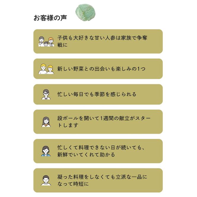 【定期便】ご家庭向けお野菜セット～旬のおまかせBOX～春夏秋冬4回分