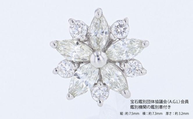 J089 ARC-EN-CIEL PTダイヤピアス（計 0.40ct）