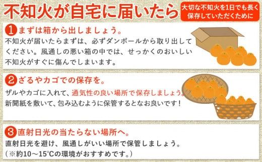 不知火 ( デコポンと同品種 ) しらぬい 約10kg (L～5Lサイズ) どの坂果樹園《2025年2月中旬-4月上旬頃出荷》 和歌山県 日高町 しらぬい 不知火 デコポン でこぽん 旬 果物 フルーツ 柑橘 産地直送 送料無料---wsh_dsk20_2j4j_24_20000_10kg---