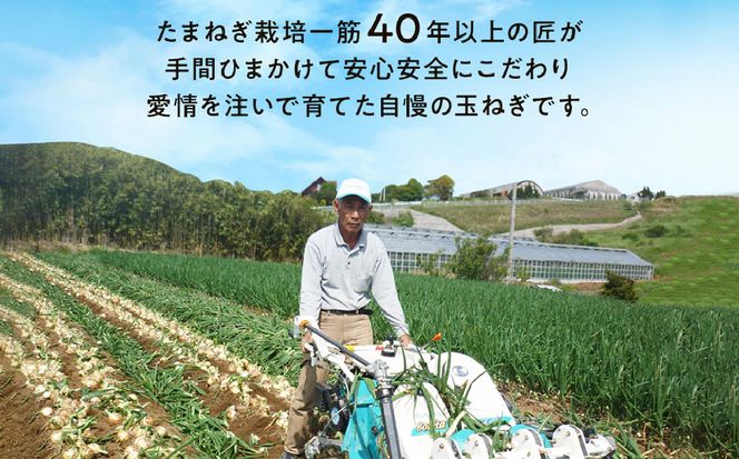 【新玉ねぎ】今井ファームの淡路島たまねぎ「かくし玉」 5kg【発送時期2026年4月下旬～5月頃】