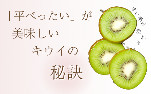 ＜2024年11月より発送＞家庭用 キウイフルーツ2kg+60g（傷み補償分）【わけあり・訳あり・扁平果】※北海道・沖縄・離島配送不可 / 和歌山 フルーツ 果物 くだもの 旬 キウイフルーツ キウイ 栄養たっぷり【ikd703】