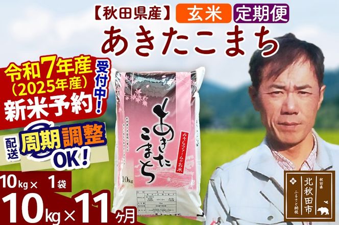 ※令和7年産 新米予約※《定期便11ヶ月》秋田県産 あきたこまち 10kg【玄米】(10kg袋) 2025年産 お届け周期調整可能 隔月に調整OK お米 みそらファーム|msrf-20611