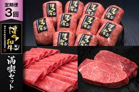 肉 博多和牛 満喫 セット 3回 定期便 牛肉 [久田精肉店 福岡県 宇美町 um40bsi440052] 牛肉 和牛 国産 うし お肉 ステーキ 焼肉 赤身 小分け スライス ヒレ ロース ハンバーグ ヒレステーキ 冷凍 おすすめ