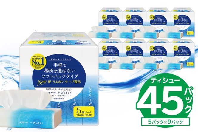 【ハーフサイズ】エリエール +Water（プラスウォーター）ソフトパックティシュー　120W5P×9パック ソフトパックティッシュ ティッシュ ソフトパック ティッシュペーパー 箱なし【0095-032】