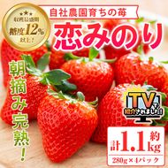 ＜先行予約受付中！2026年1月以降順次発送予定＞農園ガーデン空産いちご 恋みのりセット(計1.1kg・280g×4P)国産 イチゴ 苺 フルーツ 果物【農園ガーデン空】akn026-02