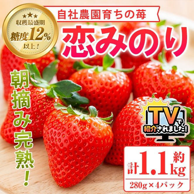 yvszs\tI2026N1ȍ~\聄_K[fY ݂̂Zbg(v1.1kgE280g×4P)Y C`S  t[c ʕy_K[fzakn026-02