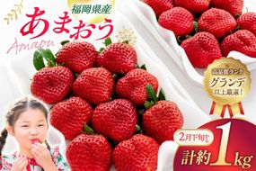 いちご あまおう 270g 4p 計約1kg【2月後半-3月後半発送】 2027年発送 先行予約 [hurrah. 福岡県 宇美町 um40bjm200000] イチゴ 苺 フルーツ 果物 果実 甘い あまい グランデ