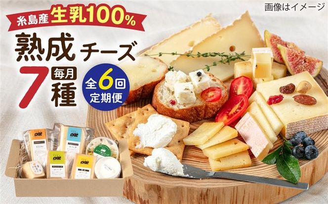 【全6回定期便】糸島産 生乳 100％ 使用 手作り チーズ 充実 7点 セット 糸島市 / 糸島ナチュラルチーズ製造所TAK-タック-[AYC013]