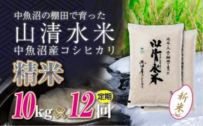【令和8年産 新米】 【定期便／全12回】精米10kg　新潟県魚沼産コシヒカリ「山清水米」十日町市 米