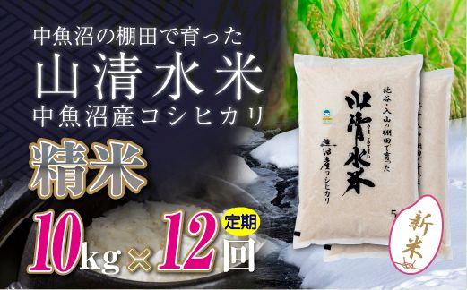 【令和8年産 新米】 【定期便／全12回】精米10kg　新潟県魚沼産コシヒカリ「山清水米」十日町市 米