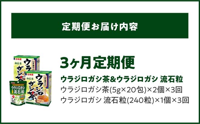 ＜3ヶ月連続＞ウラジロガシ茶＆ウラジロガシ 流石粒［027Y32-T］　山本漢方　定期便