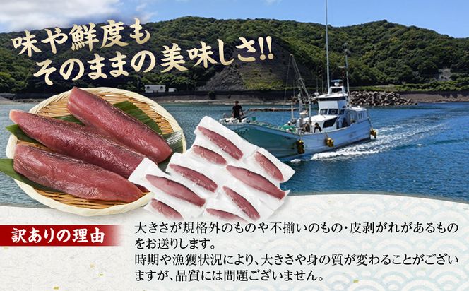 かつお一本釣り漁師が直送！ 日帰り生かつお 訳あり 2.2kg入 304018_DT06