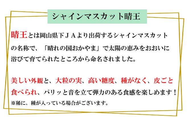 ぶどう 2026年 先行予約 シャイン マスカット 晴王 600g以上×1房 種無し ブドウ 葡萄  岡山県産 国産 フルーツ 果物 ギフト デザート 果実 美しい 大粒 高糖度 皮ごと パリッ 弾力 食感 食べやすい 人気 