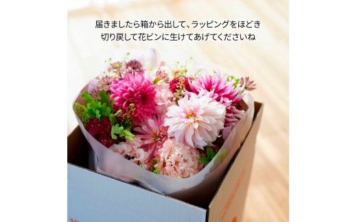 【CF-R7hbk】t154tmf　《3ヵ月定期便》生花花束 ブーケ 初回花瓶付M 定期便 定期コース 全3回 初回花瓶付き 延命剤付き 花びん 生花 花束 ブーケ 花 お花 おすすめ 可愛い キレイ おしゃれ 季節のお花 供花 お供え
