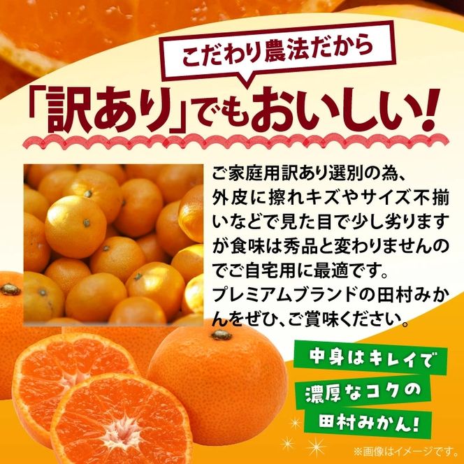 AB7300_ 【2026年先行予約】ご家庭用 田村みかん サイズ混合(2S～２L) 約10kg わけあり 訳あり 不揃い 和歌山プレミアムブランドみかん 小玉 中玉 大玉 蜜柑 ミカン フルーツ 果物