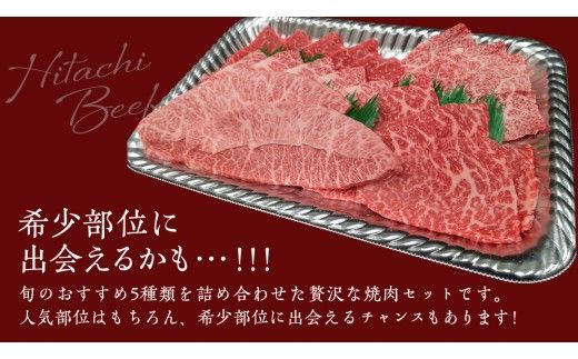 【スピード発送】【常陸牛】焼肉セット 800g (400g×2パック） (茨城県共通返礼品) 国産 牛肉 肉 お肉 焼き肉 バーベキュー BBQ カメノコ サンカクバラ ミスジ イチボ ササミ ザブトン シンシン カイノミ ボンジョー タテバラ 三角バラ サイコロステーキ サーロイン リブロース ランプ ウワミスジ ヒレ